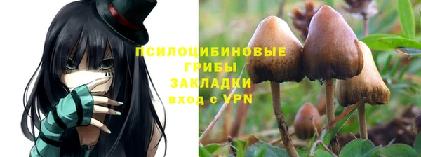 ГАЛЛЮЦИНОГЕННЫЕ ГРИБЫ Новодвинск