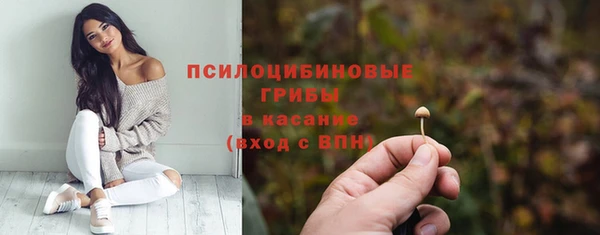 ГАЛЛЮЦИНОГЕННЫЕ ГРИБЫ Новодвинск