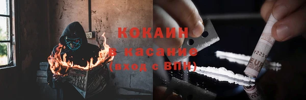 ГАЛЛЮЦИНОГЕННЫЕ ГРИБЫ Новодвинск