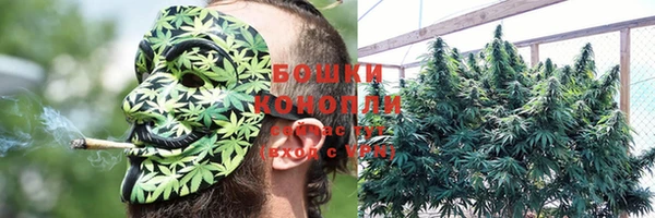 ГАЛЛЮЦИНОГЕННЫЕ ГРИБЫ Новодвинск