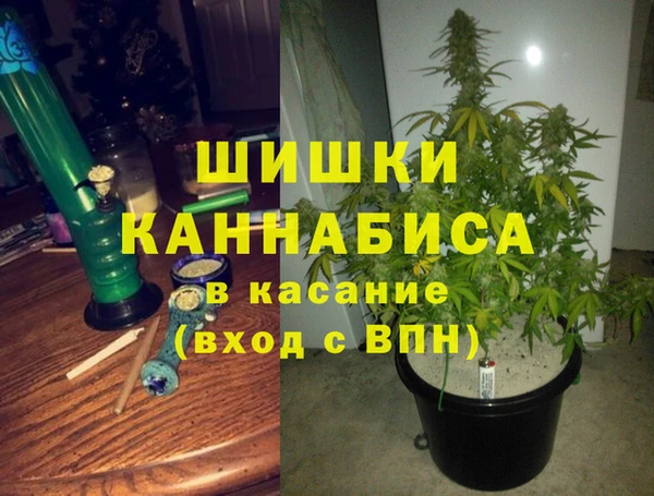 ГАЛЛЮЦИНОГЕННЫЕ ГРИБЫ Новодвинск