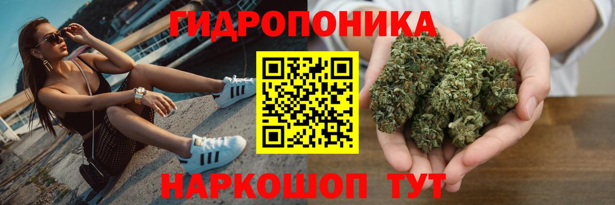 Каннабис план Кандалакша